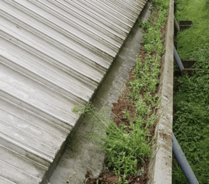 Happy customers in Banstead who trust The Roof Moss Cleaners for gutter cleaning services