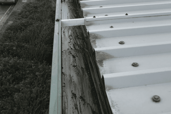 Commercial gutter cleaning specialists in Banstead